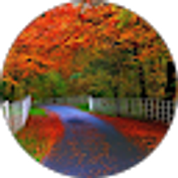 Profile photo of Byreddy Gangadhar