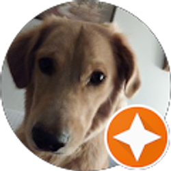 Profile photo of Sara Ann Brandenburg