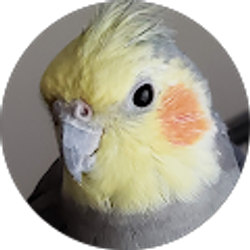 Profile photo of Birdie & Molly Mommy