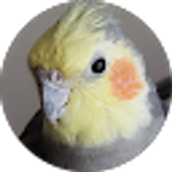 Profile photo of Birdie & Molly Mommy