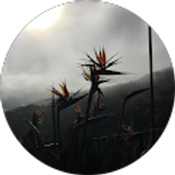 Profile photo of Connie Gabriel