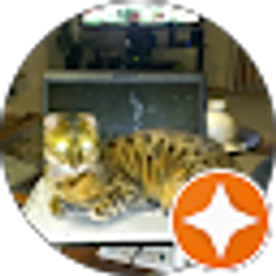 Profile photo of Atiq Ahmad