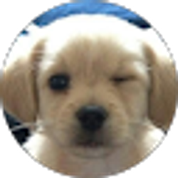 Profile photo of Prince Bailey