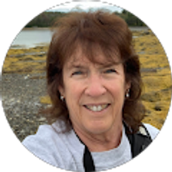 Profile photo of Donna Salko