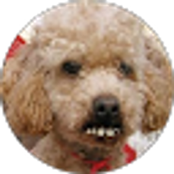 Profile photo of Jennifer Sandidge