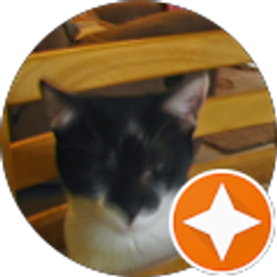 Profile photo of Carol B