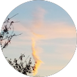 Profile photo of Beth Heaney