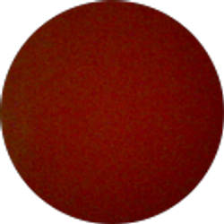 Profile photo of Official Kay