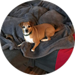 Profile photo of Janet Copeland