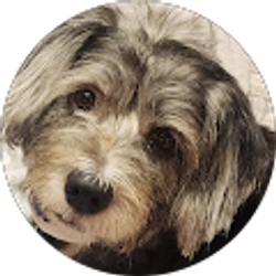 Profile photo of Lisa Kunzeman