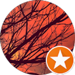 Profile photo of Al James