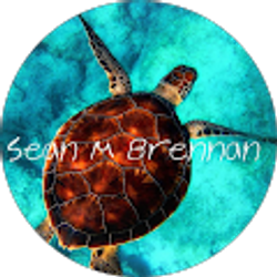 Profile photo of Sean Brennan