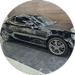 Profile photo of Devon Wills