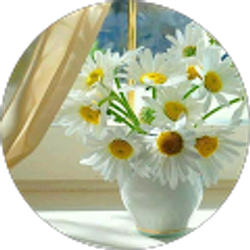 Profile photo of Tracey O'Connor