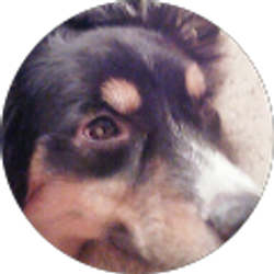 Profile photo of Charlie Barkin'