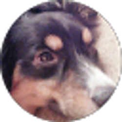 Profile photo of Charlie Barkin'