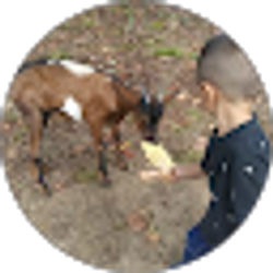 Profile photo of neilida Monte s