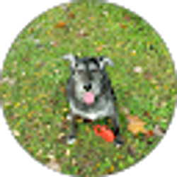 Profile photo of Robin Speakman