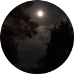 Profile photo of Bill Perkins