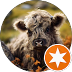 Profile photo of Jazmin Martinez