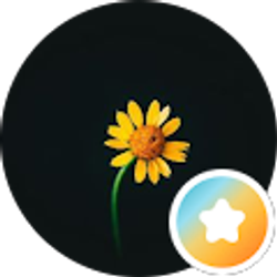 Profile photo of Diane Cote'