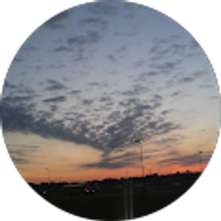 Profile photo of Aileen Tarvin