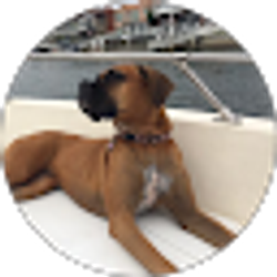 Profile photo of Rose Kott