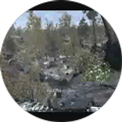 Profile photo of Dr Fuzzims