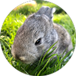 Profile photo of Maleah Myers