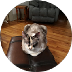 Profile photo of Thomas craig