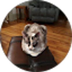 Profile photo of Thomas craig