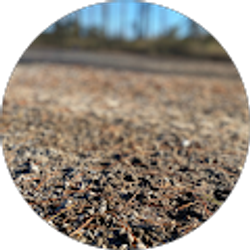 Profile photo of Ayanna Jones