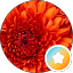 Profile photo of Lady G