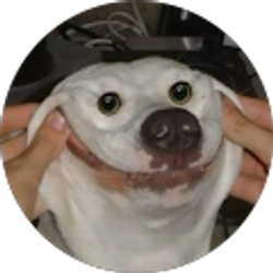 Profile photo of William Benitez