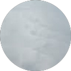 Profile photo of Nezam Ardalan