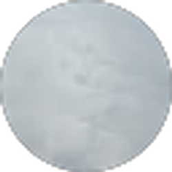 Profile photo of Nezam Ardalan