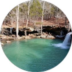 Profile photo of jason t