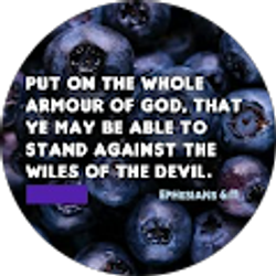 Profile photo of Michael MDSO