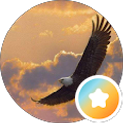 Profile photo of Rich Adler