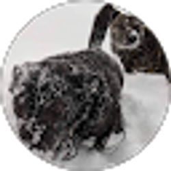 Profile photo of Laura Falloon