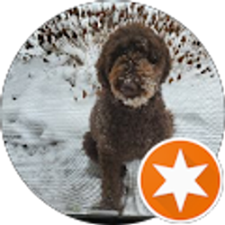 Profile photo of Mike De Micco