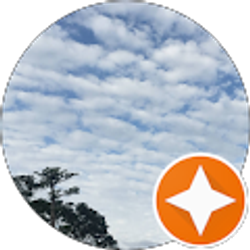 Profile photo of Abby Lee