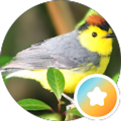 Profile photo of Cynthia Berg