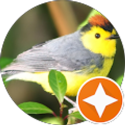 Profile photo of Cynthia Berg