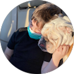 Profile photo of shannon tibbitts