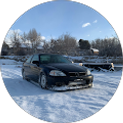 Profile photo of Steve I Be