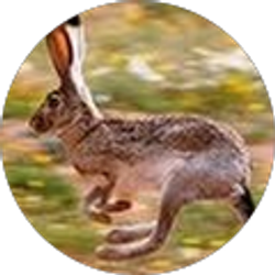 Profile photo of Michael Vail