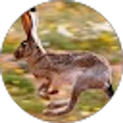Profile photo of Michael Vail