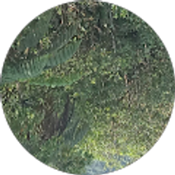 Profile photo of Luis Pullupaxi