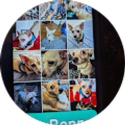 Profile photo of Beverly DeMarco